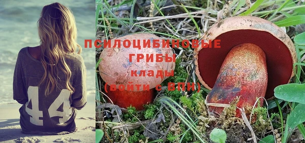 винт Абинск