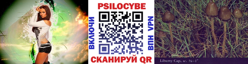 Псилоцибиновые грибы GOLDEN TEACHER  кракен вход  Алагир 