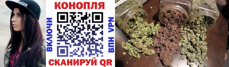 закладка  Алагир  Бошки марихуана THC 21% 